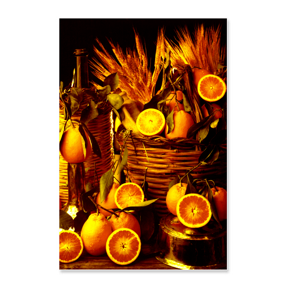Poster 60x90