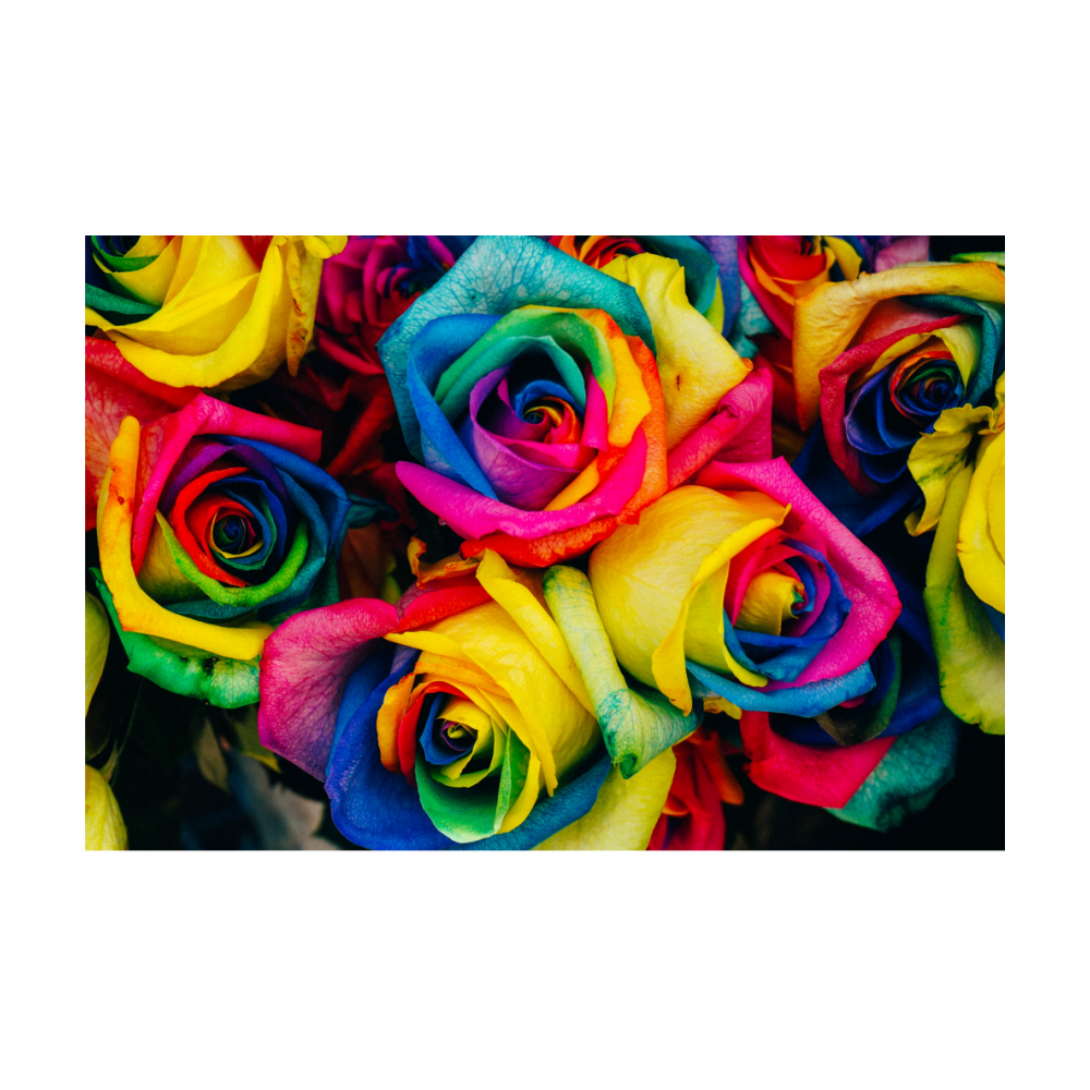 Poster with Frame 60x40