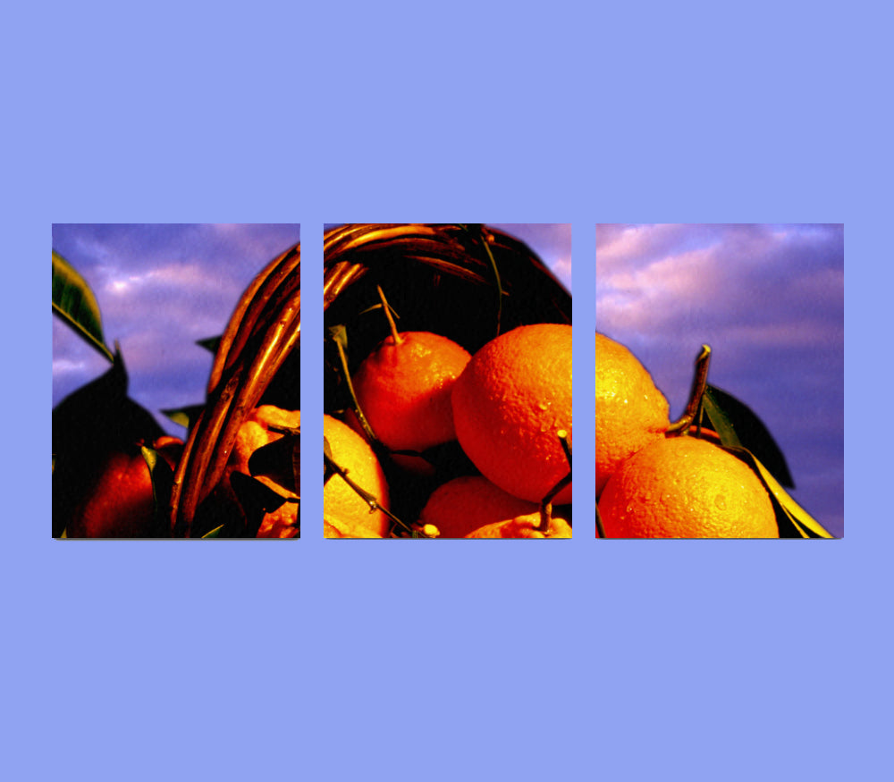 Canvas 3 Panels