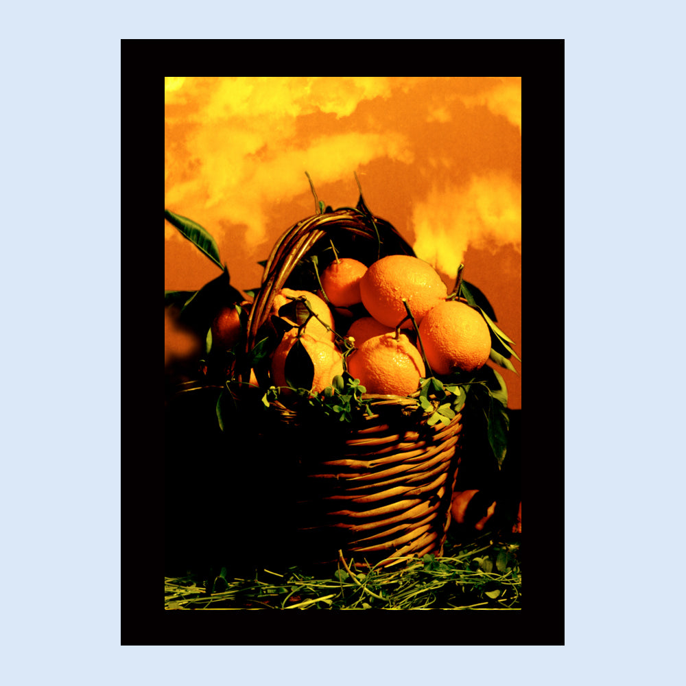 Poster with Frame 40x60