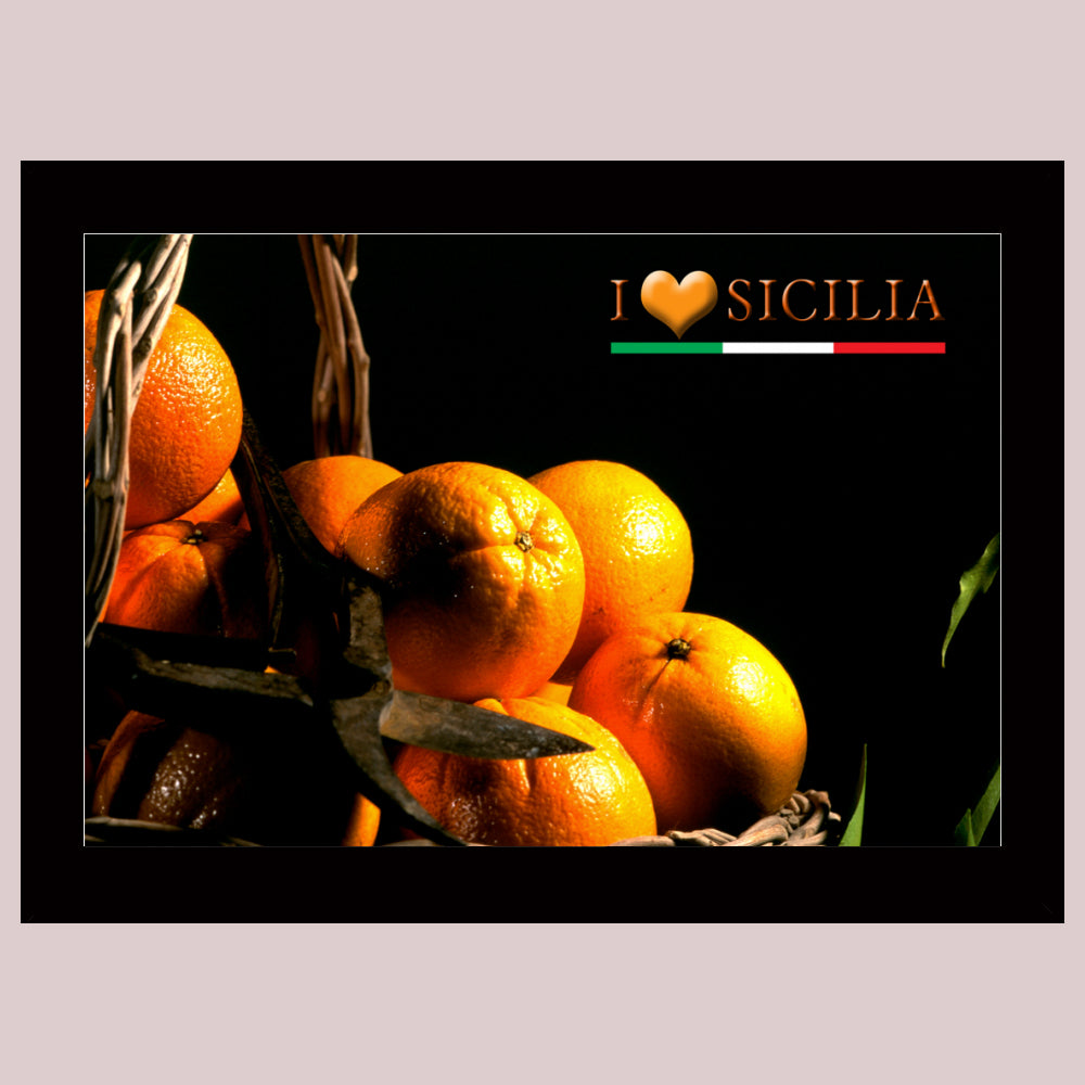 Poster with Frame 60x40
