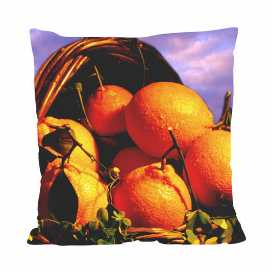 All Over Cushion