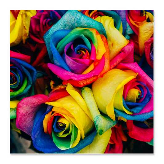 Poster 60x60