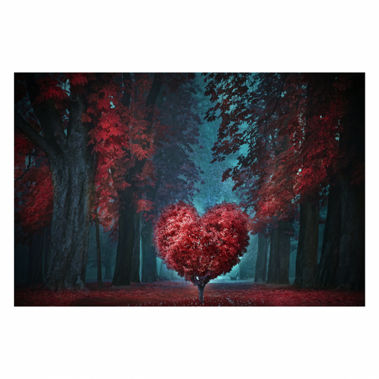 Canvas 60x40