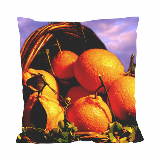 All Over Cushion