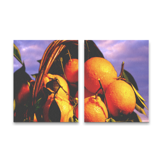 Canvas 2 Panels