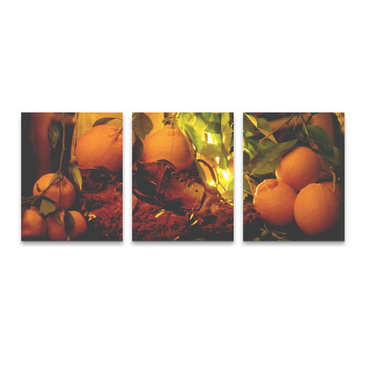 Canvas 3 Panels