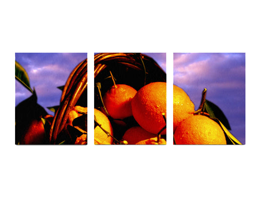 Canvas 3 Panels