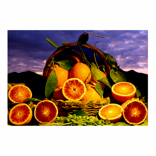 Canvas 90x60