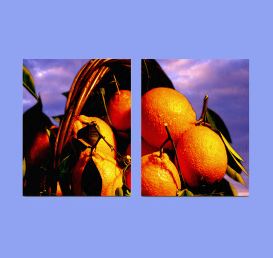 Canvas 2 Panels