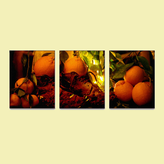 Canvas 3 Panels