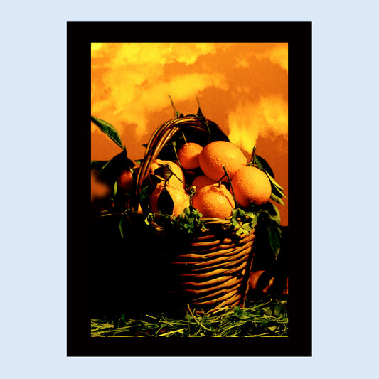 Poster with Frame 40x60